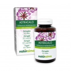 Tragant 300 Tabletten (150 g) - Naturalma