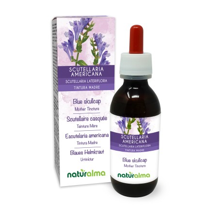 Blaues Helmkraut Urtinktur 120 ml alkoholfreie Flüssigkeit - Naturalma