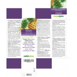 Ananas Tintura madre 100 ml liquido analcoolico - Naturalma