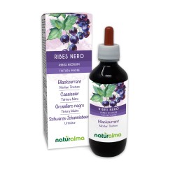 Cassissier Teinture Mère 200 ml liquide sans alcool - Naturalma