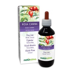 Dog rose Mother tincture 200 ml alcohol-free liquid - Naturalma