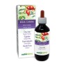 Églantier Teinture Mère 200 ml liquide sans alcool - Naturalma