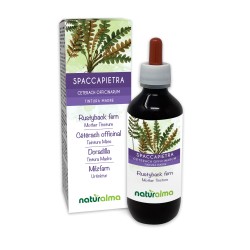 Cétérach officinal Teinture Mère 200 ml liquide sans alcool - Naturalma