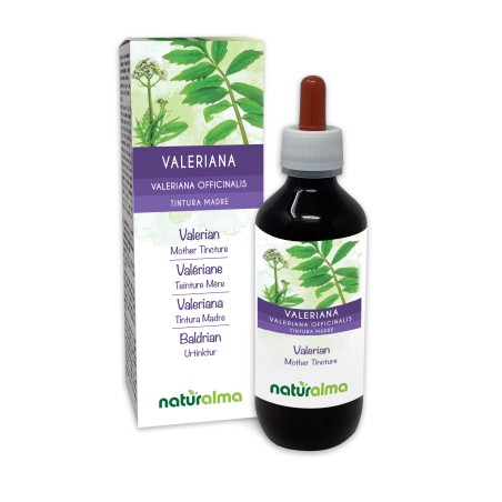 Baldrian Urtinktur 200 ml alkoholfreie Flüssigkeit - Naturalma