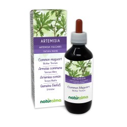 Gemeiner Beifuß Urtinktur 200 ml alkoholfreie Flüssigkeit - Naturalma