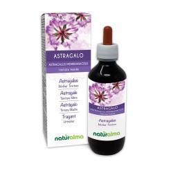 Astragalus Mother tincture 200 ml alcohol-free liquid - Naturalma