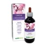 Lapacho Mother tincture 200 ml alcohol-free liquid - Naturalma
