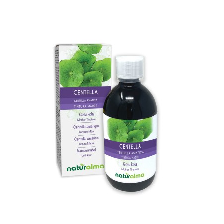 Asiatischer Wassernabel Urtinktur 500 ml alkoholfreie Flüssigkeit - Naturalma