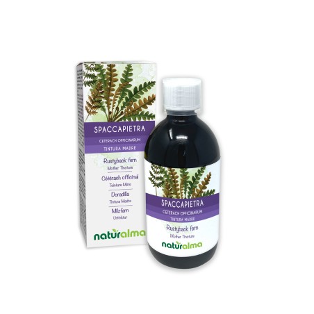 Milzfarn Urtinktur 500 ml alkoholfreie Flüssigkeit - Naturalma