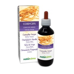 Cordyceps Tintura madre 200 ml liquido analcoolico - Naturalma