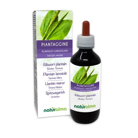 Ribwort plantain Mother tincture 200 ml alcohol-free liquid - Naturalma
