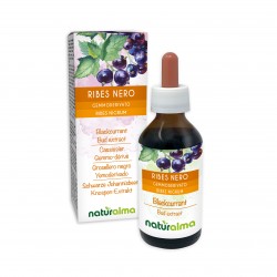 Ribes nero Gemmoderivato 100 ml liquido analcoolico - Naturalma