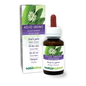 Bärlauch Urtinktur 60 ml alkoholfreie Flüssigkeit - Naturalma