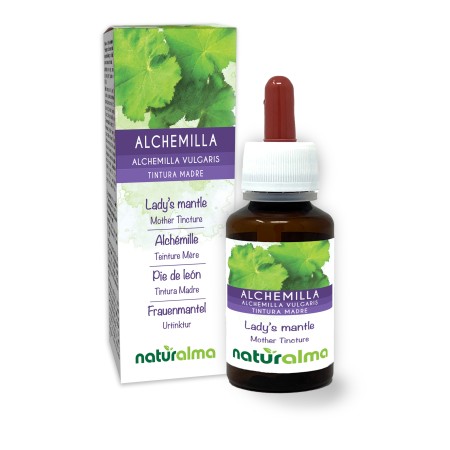 Alchemilla Tintura madre 60 ml liquido analcoolico - Naturalma