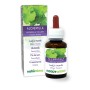 Alchemilla Tintura madre 60 ml liquido analcoolico - Naturalma