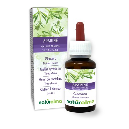Kletten-Labkraut Urtinktur 60 ml alkoholfreie Flüssigkeit - Naturalma
