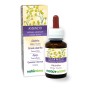 Assenzio Tintura madre 60 ml liquido analcoolico - Naturalma