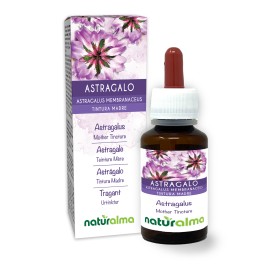 Tragant Urtinktur 60 ml alkoholfreie Flüssigkeit - Naturalma
