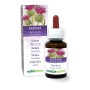 Bardana Tintura madre 60 ml liquido analcoolico - Naturalma