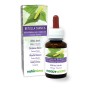 Betulla bianca Tintura madre 60 ml liquido analcoolico - Naturalma
