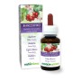 Weißdorn Urtinktur 60 ml alkoholfreie Flüssigkeit - Naturalma