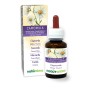Camomilla Tintura madre 60 ml liquido analcoolico - Naturalma