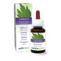 Cardiaca Tintura madre 60 ml liquido analcoolico - Naturalma