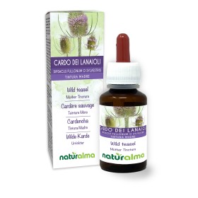 Wild teasel Mother tincture 60 ml alcohol-free liquid - Naturalma