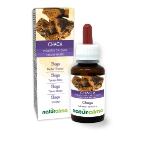 Chaga Tintura madre 60 ml liquido analcoolico - Naturalma