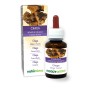Chaga Tintura madre 60 ml liquido analcoolico - Naturalma