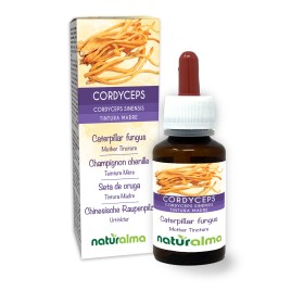Cordyceps Tintura madre 60 ml liquido analcoolico - Naturalma