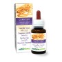 Cordyceps Tintura madre 60 ml liquido analcoolico - Naturalma