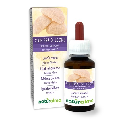 Criniera di leone Tintura madre 60 ml liquido analcoolico - Naturalma