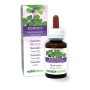 Desmodium Moedertinctuur 60 ml alcoholvrije vloeistof - Naturalma