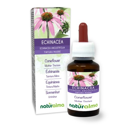 Echinacea Tintura madre 60 ml liquido analcoolico - Naturalma