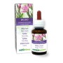 Epilobio Tintura madre 60 ml liquido analcoolico - Naturalma