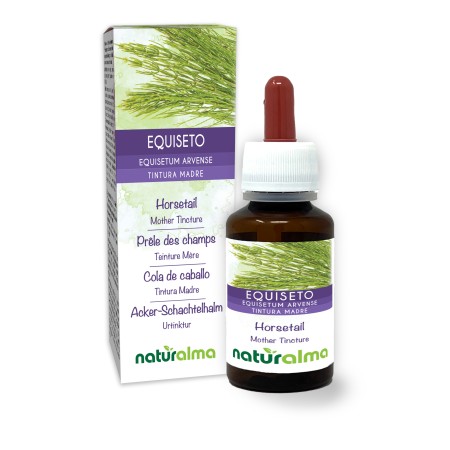 Equiseto Tintura madre 60 ml liquido analcoolico - Naturalma