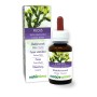 Fucus Tintura madre 60 ml liquido analcoolico - Naturalma