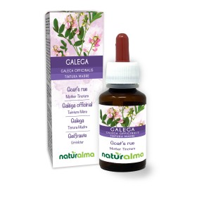 Galega Tintura madre 60 ml liquido analcoolico - Naturalma