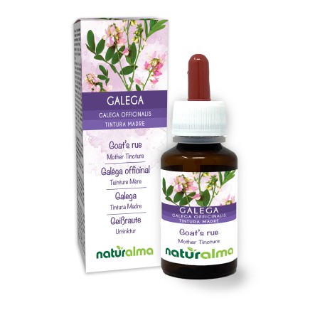 Galega Tintura madre 60 ml liquido analcoolico - Naturalma