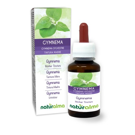Gymnema Teinture Mère 60 ml liquide sans alcool - Naturalma
