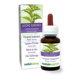 Licopo Europeo Tintura madre 60 ml liquido analcoolico - Naturalma