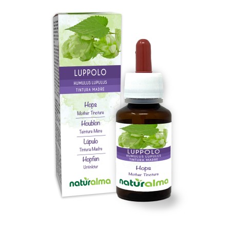 Hop Moedertinctuur 60 ml alcoholvrije vloeistof - Naturalma