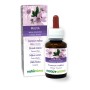 Malva Tintura madre 60 ml liquido analcoolico - Naturalma