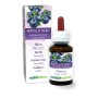 Mirtillo Nero Tintura madre 60 ml liquido analcoolico - Naturalma