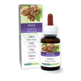 Noce Tintura madre 60 ml liquido analcoolico - Naturalma