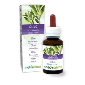 Olivo Tintura madre 60 ml liquido analcoolico - Naturalma