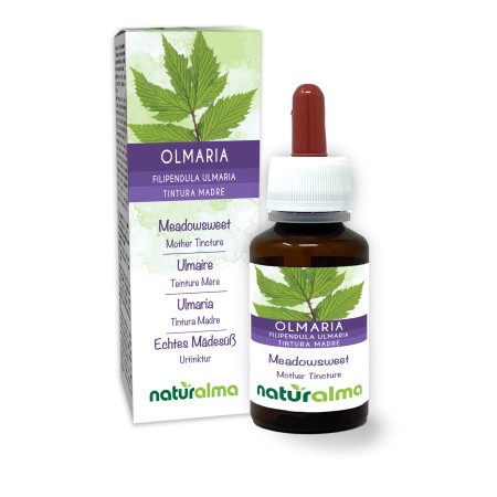 Olmaria Tintura madre 60 ml liquido analcoolico - Naturalma
