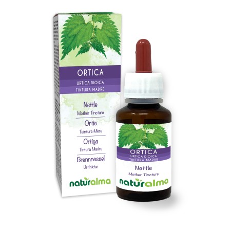 Grote brandnetel Moedertinctuur 60 ml alcoholvrije vloeistof - Naturalma