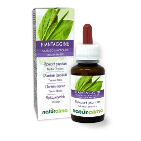 Ribwort plantain Mother tincture 60 ml alcohol-free liquid - Naturalma
